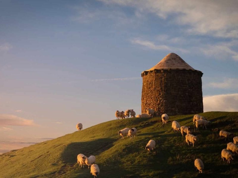 From Tenant Farmer to Milkman: The Life of Francis&nbsp;Anderton
